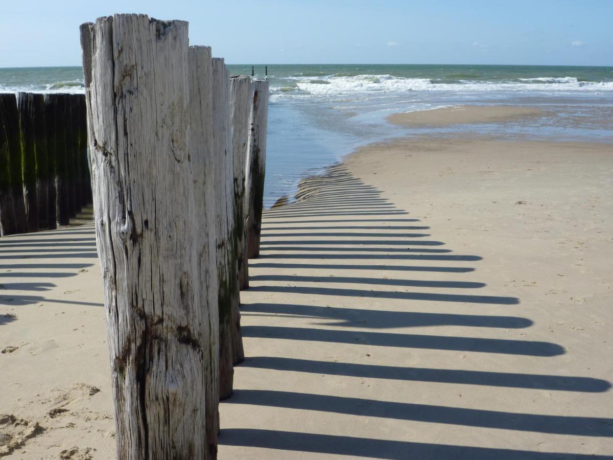 Vakantiehuis Domburg Do12 Εξωτερικό φωτογραφία